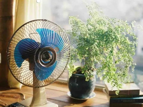 Vì sao nên quay quạt ra cửa vào mùa hè?