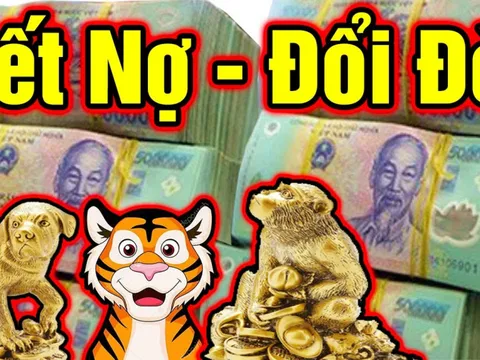 3 ngày cuối tuần: 3 con giáp Hết Nợ - Đổi Đời giàu có