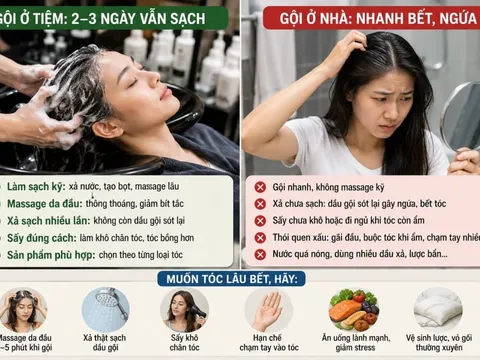 Vì sao gội đầu ở tiệm để 3 ngày vẫn sạch, gội ở nhà lại nhanh bết ngứa?