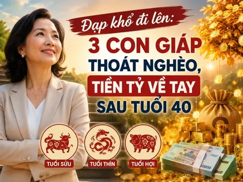 Đạp khổ đi lên: 3 con giáp thoát nghèo, tiền Tỷ về tay sau tuổi 40