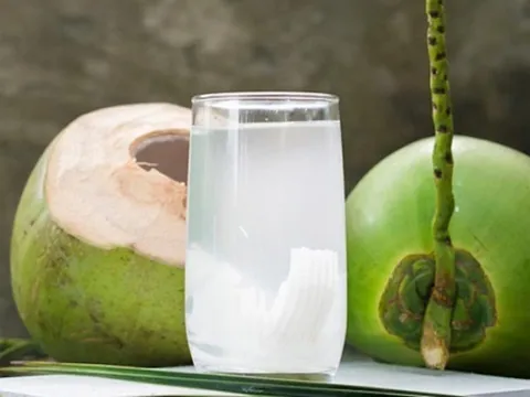 Vì sao không nên uống nước dừa ngay sau khi đi nắng về?