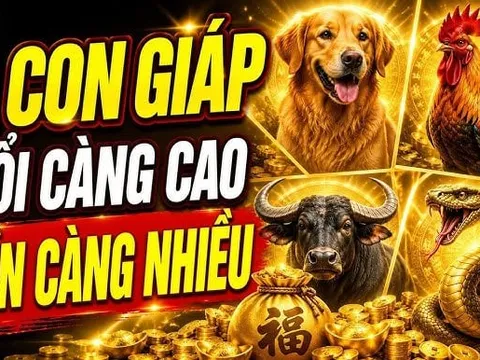 4 con giáp tuổi càng cao Tiền càng nhiều, số 1 thêm Lộc từ con cái