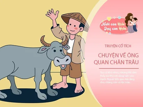 Truyện cổ tích: Ông quan chăn trâu