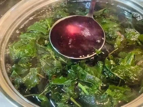 Cho 1 thứ vào nấu cùng lá tía tô giảm thâm nám, da trắng bật tone
