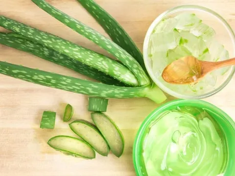 Đánh bay vết thâm mụn, khôi phục làn da sáng mịn chỉ với nha đam
