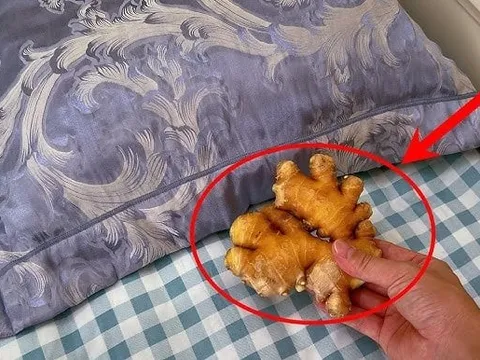 Để 1 nhánh gừng dưới gối, sáng ra thấy ngay điều bất ngờ