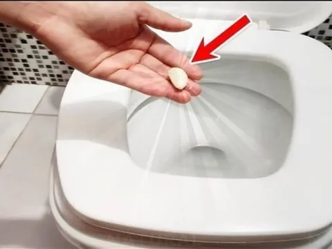 Vì sao nên bỏ một tép tỏi vào bồn cầu trước khi đi ngủ?