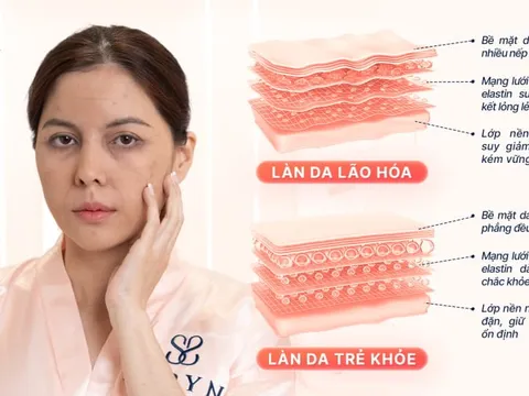 Trẻ hóa mãi không hiệu quả: Bạn có đang bỏ qua tầng lão hóa quan trọng nhất?