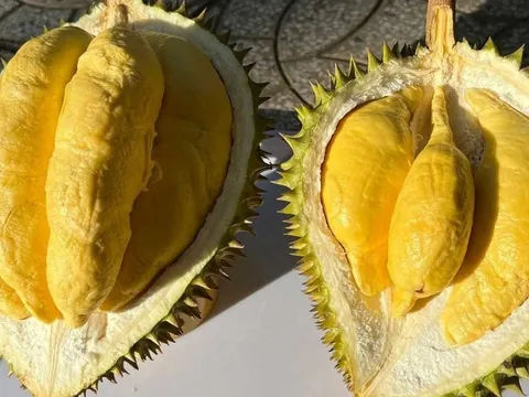 5 người tuyệt đối không nên ăn sầu riêng: Dù chỉ ăn 1 miếng thôi cũng hại