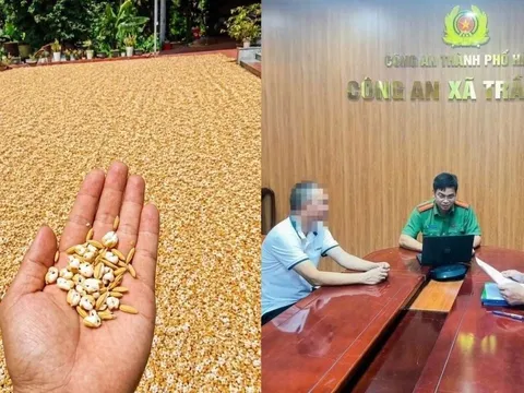 Bị phạt 7,5 triệu đồng vì đăng ảnh chế thóc phơi ngoài trời nổ thành bỏng