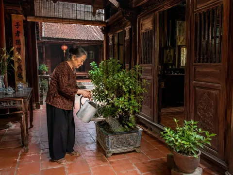 Đặt 1 thứ này trong nhà: Giữ không khí thoáng mát, không cần điều hòa