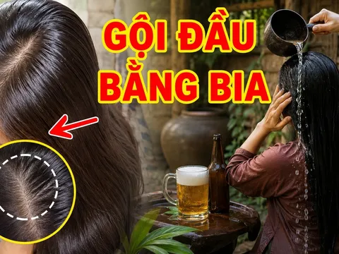 Mẹo dùng bia ủ tóc, kích thích tóc con mọc tua tủa, không bết dính