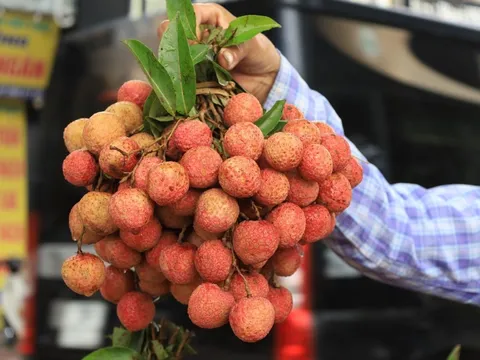 Người mắc 1 trong 5 bệnh này không nên ăn quả vải
