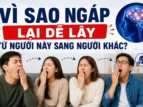 Vì sao ngáp lại dễ lây từ người này sang người khác?