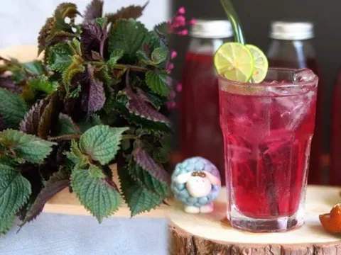 Cách nấu nước lá tía tô đẹp da, ngừa thâm nám từ bên trong