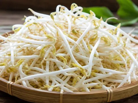 Cách phân biệt giá đỗ có nguy cơ nhiễm hoá chất