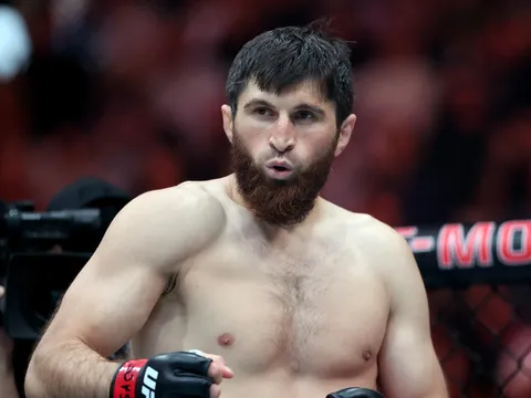 Sự kiện UFC Abu Dhabi nóng lên: Magomed Ankalaev và Umar Nurmagomedov chính thức chốt đối thủ