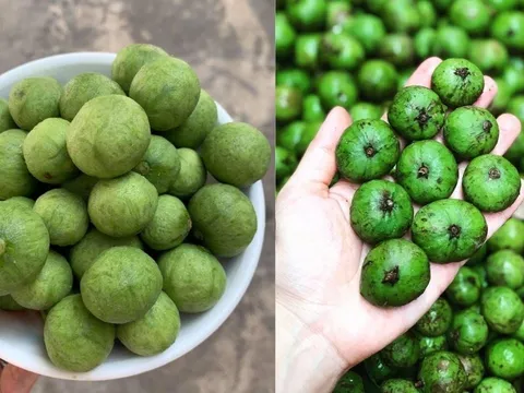 Mẹo bảo quản sâu tươi, để cả năm vẫn giữ nguyên hương vị, ngon như mới mua