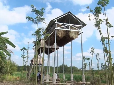 Nuôi loài hoang dã "sống về đêm", không cần chăm sóc, không cần cho ăn, người nông dân vẫn lãi cả trăm triệu đồng/năm
