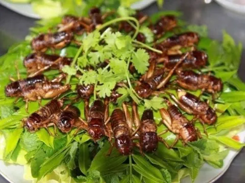 12 món đặc sản Quảng Ngãi nhất định phải thử một lần, có món tên độc lạ khiến nhiều du khách tò mò