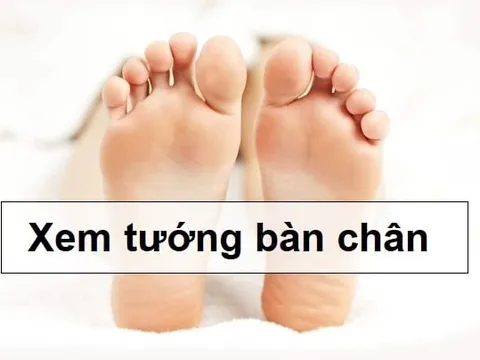 4 nét tướn bàn chân giàu có