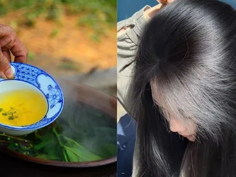Cách gội đầu bằng nước chè xanh làm sạch gàu, giảm bết, tóc con mọc tua tủa