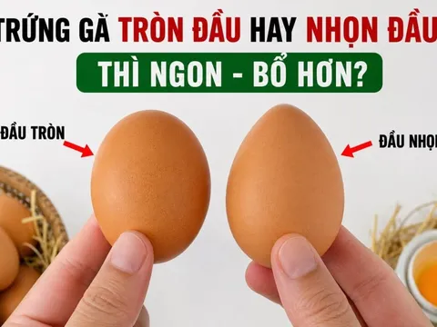 Trứng gà tròn đầu hay nhọn đầu thì ngon - bổ hơn?