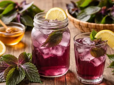 Người mắc 1 trong 5 bệnh này uống nước lá tía tô rất hại