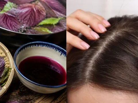 Cách gội đầu bằng lá tía tô giúp da đầu sạch gàu, hỗ trợ tóc mọc khỏe hơn