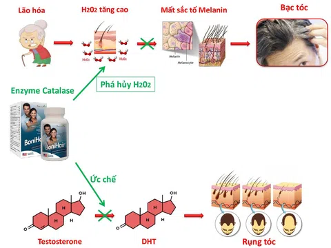 BoniHair - Bí quyết khôi phục mái tóc đen bóng tuổi thanh xuân