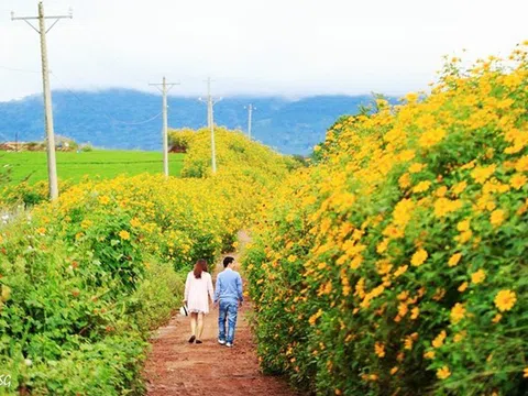 Lên rừng hay xuống biển hậu Covid – 19: Cơ hội hiếm có cho những điểm đến mới 