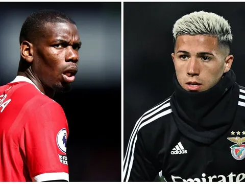 Enzo Fernandez có thể giống Paul Pogba ở Man United