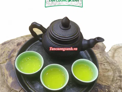 Đặc sản trà Thái Nguyên ngon Tân Cương Xanh