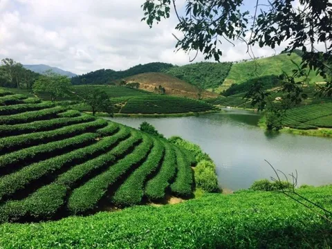 Nghệ An thúc đẩy du lịch "4 mùa": Từ quê Bác đến biển, núi và lễ hội