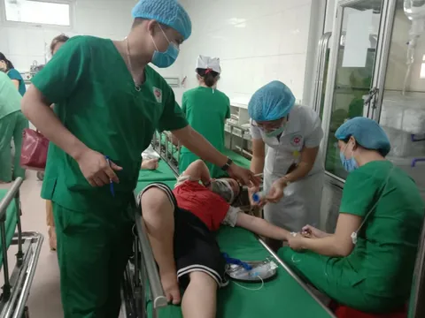 Ném dép vào tổ ong, 16 học sinh tiểu học nhập viện