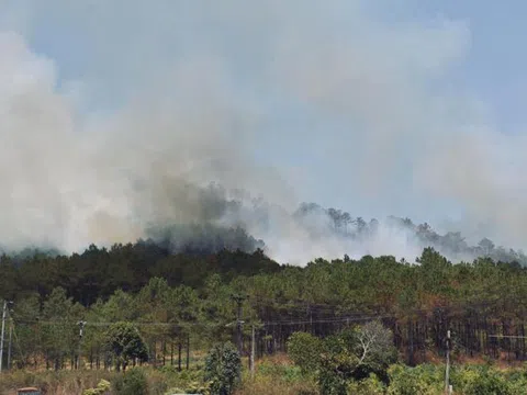 Hơn 2ha rừng phòng hộ ở Gia Lai bốc cháy ngùn ngụt