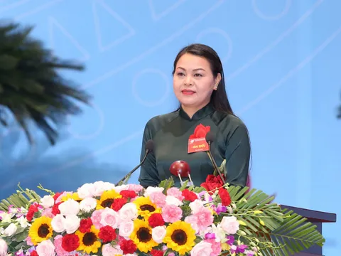 Chủ tịch hội liên hiệp Phụ nữ Việt Nam giữ chức Bí thư tỉnh Ninh Bình