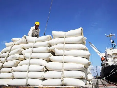 Bộ Công Thương kiến nghị bỏ hạn ngạch, cho xuất khẩu gạo bình thường từ 1/5