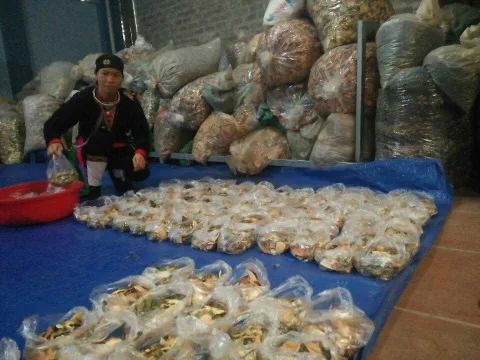 Vì sao người lao động nghèo lại đổ xô tìm “thần y núi Tản” chữa bệnh tiểu đường?