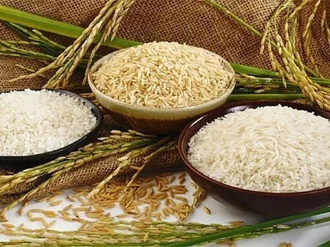 Giá gạo hôm nay 7/7: Tăng nhẹ ở một số chủng loại