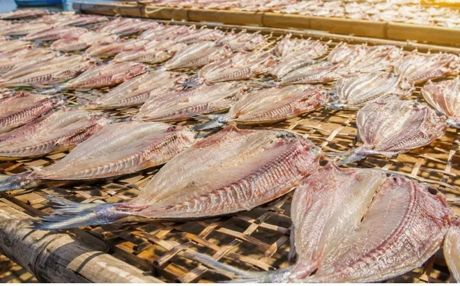 Ăn nhiều 6 loại cá này có thể tăng nguy cơ ung thư nhưng vẫn nhiều người thích ăn