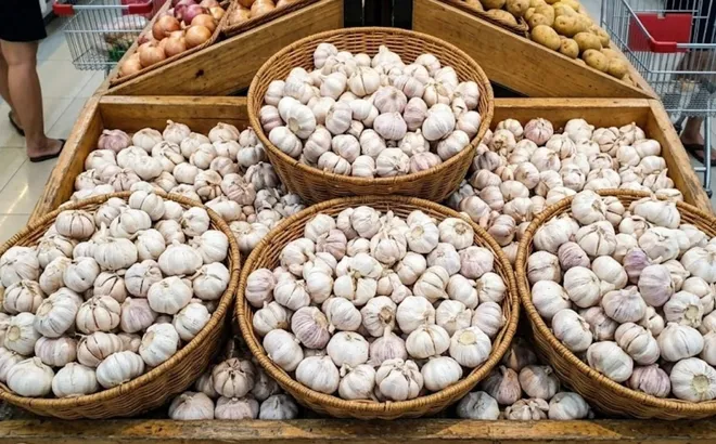 Tỏi ở siêu thị không mọc mầm: Nhờ 3 lý do này