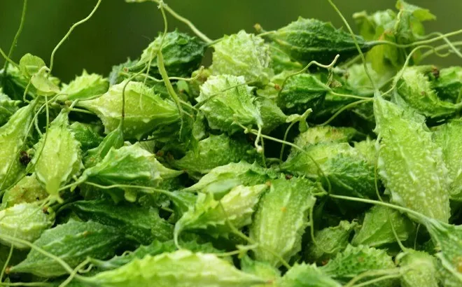 12 loại rau củ có vị đắng, kén người ăn nhưng rất tốt cho tiêu hoá, mát gan, ở chợ Việt bán nhiều từ 15.000 đ/kg