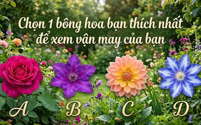 Chọn 1 bông hoa bạn thích nhất để xem vận may của bạn